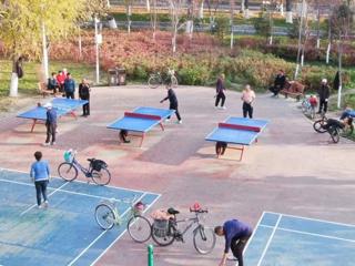 11座“口袋公园”，装满七师胡杨河市居民的“微幸福”！