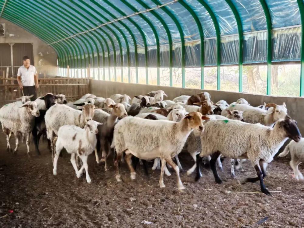 4b99c0edeb8c484087b57d6eb19db461.jpeg 4b99c0edeb8c484087b57d6eb19db461.jpeg