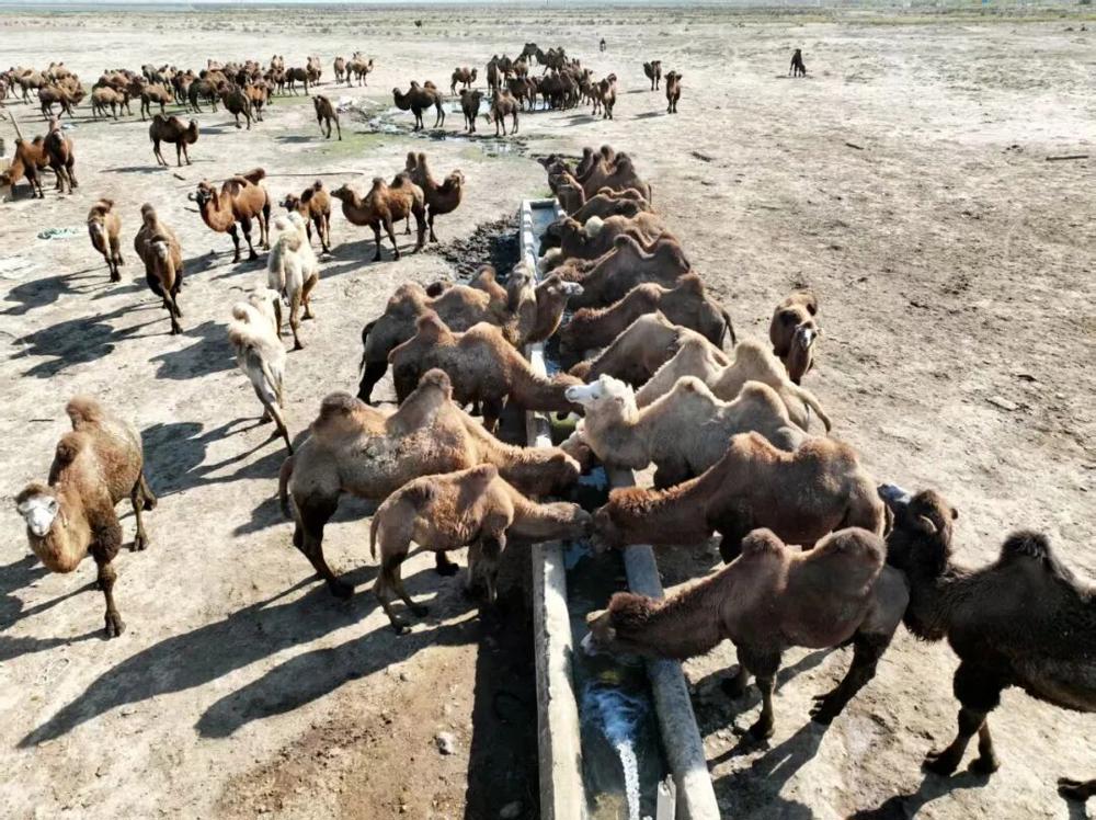 de85045d3d2148128313951f4a4d8bd3.jpeg de85045d3d2148128313951f4a4d8bd3.jpeg