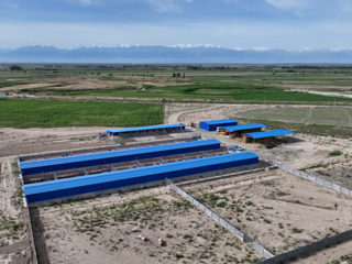 七师胡杨河市各团场活力迸发：党建领航强根基 产业增收谱新篇