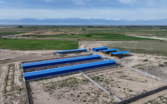 七师胡杨河市各团场活力迸发：党建领航强根基 产业增收谱新篇