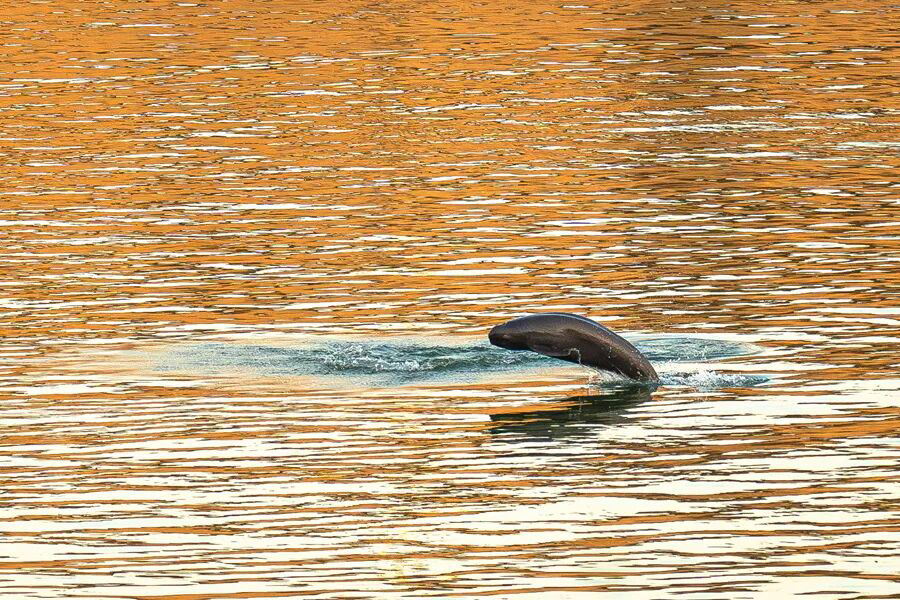 02d3861a259e40c7b2e272779295ecea.jpeg 02d3861a259e40c7b2e272779295ecea.jpeg