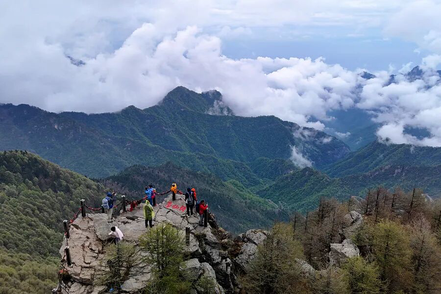 92fe101c4b33449184da57477c938f72.jpeg 92fe101c4b33449184da57477c938f72.jpeg