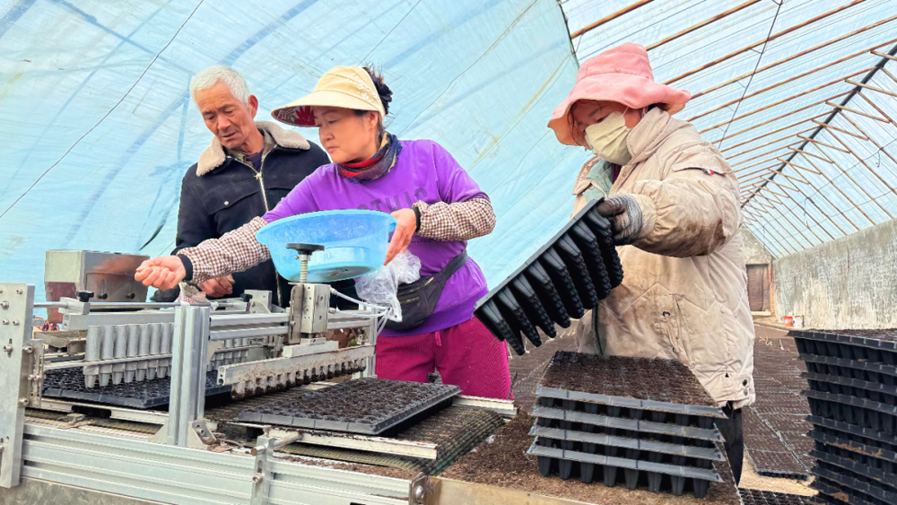 4c7728b18eb54abe84f67b741a83f1fb.png 4c7728b18eb54abe84f67b741a83f1fb.png