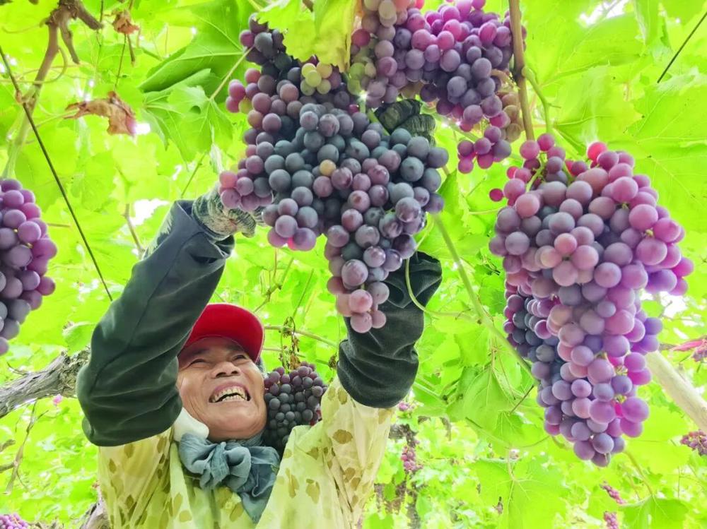 5e8b83e72a104c23ab28f77a7c7164e2.jpeg