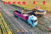 胡杨河光影丨金秋处处绘“丰”景