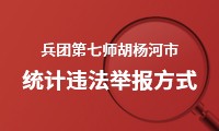 兵团第七师胡杨河市统计违法举报方式