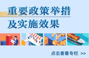 重要政策举措及实施效果