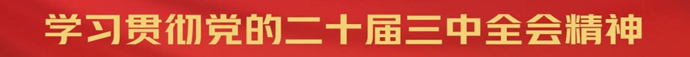 学习贯彻党的二十届三中全会精神