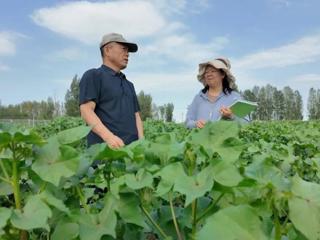 第七师胡杨河市：科创赋能强产业 产教融合筑基石