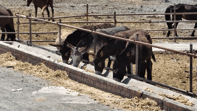 557ec1b2d7984875a586213f85130d35.gif 557ec1b2d7984875a586213f85130d35.gif